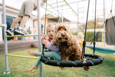 Dogs Help Kids to be More Active